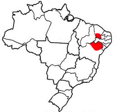 Northern Bahia State & Ceará State