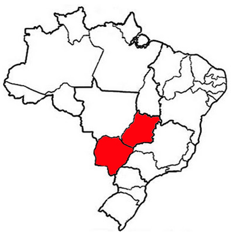 Goiás State and Mato Grosso do Sul State